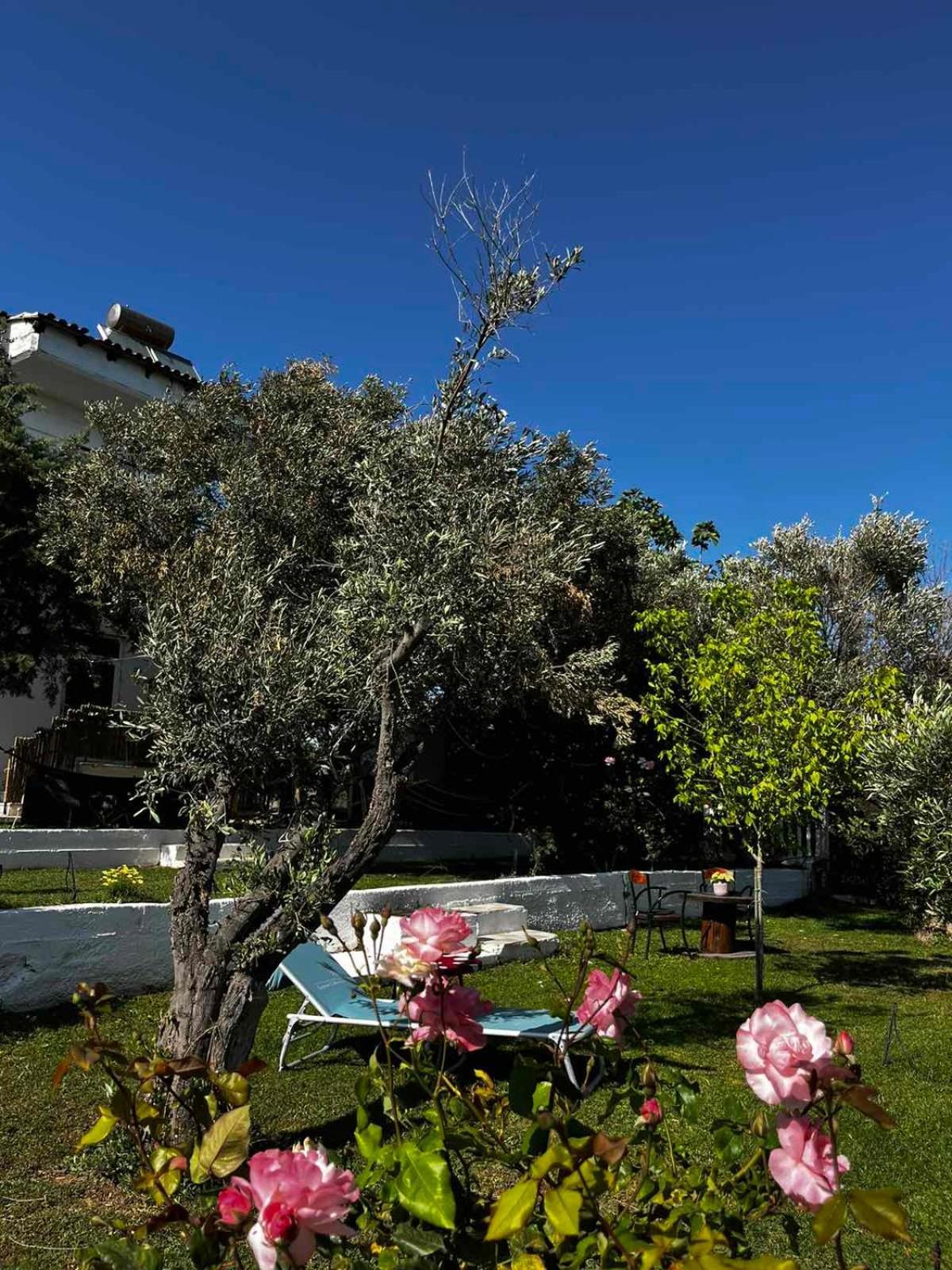 Savvinio Country Apartment Alexandroupoli Exterior photo